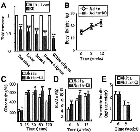 Glucose And Insulin Homeostasis In Akita Mice Heterozygous For Orp150