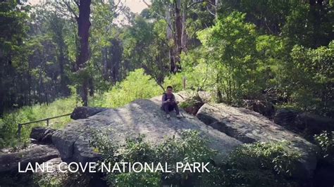 Lane Cove National Park Youtube