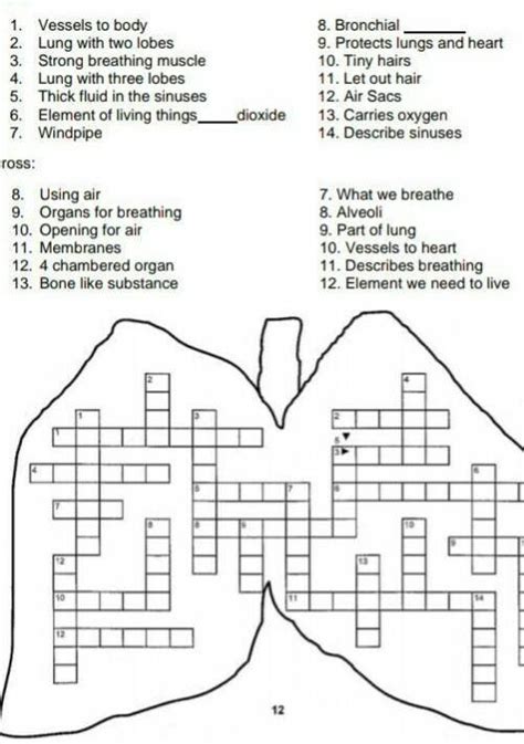 Crossword solver helps you find crossword answers, scrabble words, words with friends, and anagrams. Respiratory crossword puzzle