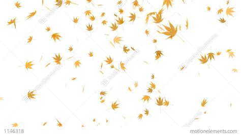 Hd Loopable Falling Autumn Leaves Animation Stock Animation 1146318