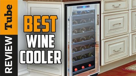 Wine Cooler Best Wine Cooler 2022 Buying Guide Youtube