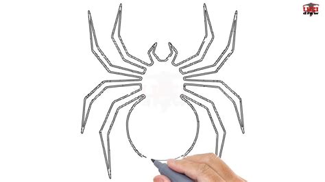 Thanks for watching our channel. How to Draw a Spider Easy Step By Step Drawing Tutorials ...