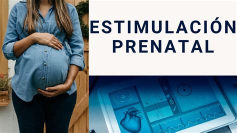 Estimulación Prenatal Youtube