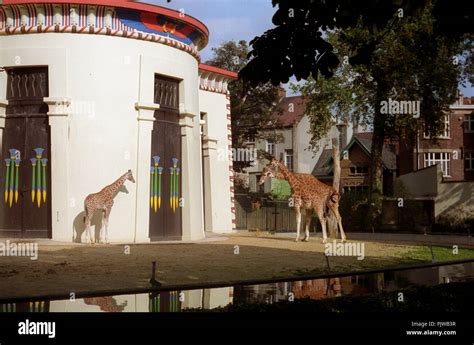 The Antwerp Zoo In The Nineties Belgium 101992 Stock Photo Alamy