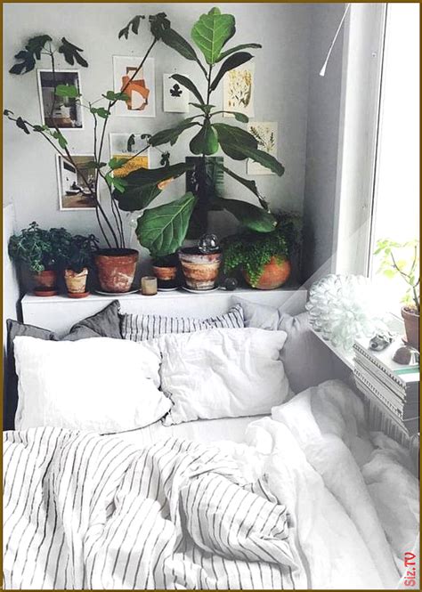 Urban Outfitters Bedroom Indoor Plant Succulent Ideas For The Bedroom