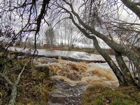 Alkuviikon sateet ja tulvat ennakoituja pienempiä Pohjanmaalla ja Etelä ...