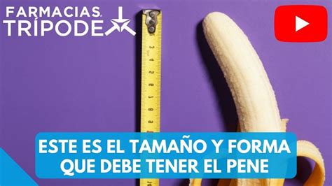 Cómo Funciona El Pene Tamaño Y Forma Normal Del Pene Youtube