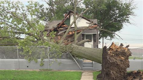 Expert Addresses Tree Maintenance With Severe Storms In St Louis