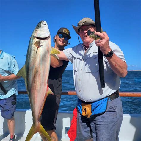 Independence Fish Report Awesome Yellowtail Fishing To Start Our Indy