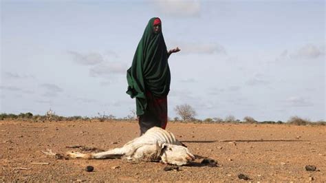 Us Announces 524 Million For Horn Of Africa Drought Climate Change Crisis