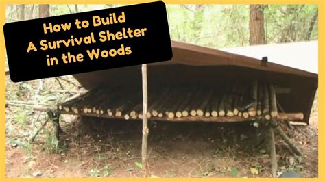 How To Build A Survival Shelter In The Woods Or The Wild Youtube