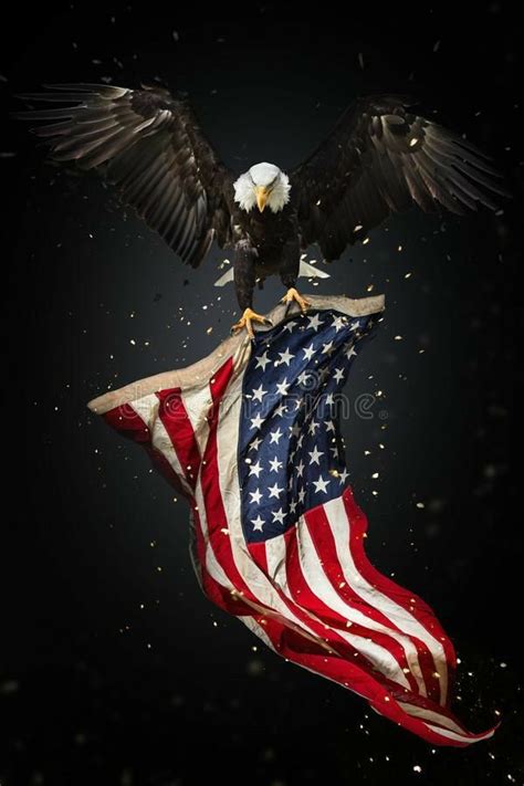 Pin by Melinda King Hooper on America...Land that I love... in 2020