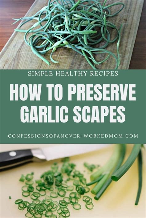 Did You Know That You Can Preserve Garlic Scapes Learn How To Store