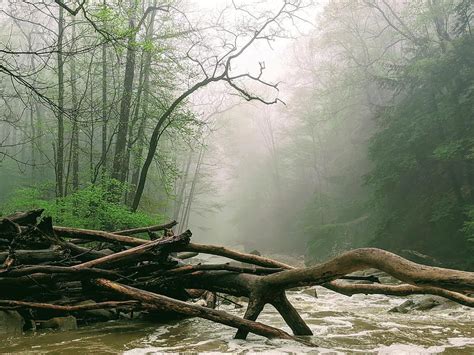 Foggy River Photograph By Brad Nellis Fine Art America
