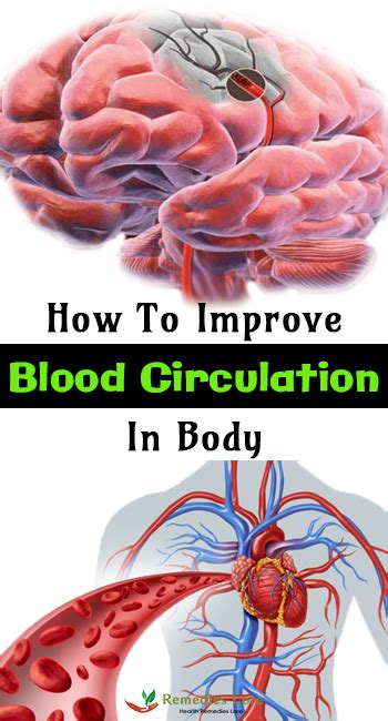 Get tips on how to improve poor circulation and increase blood flow. How To Improve Blood Circulation In Body - Remedies Lore