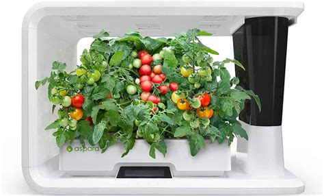 8 Hydroponic Indoor Growing Systems Design Swan