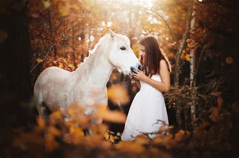 Woman Model Girl Horse Fall White Dress Brunette Wallpaper Resolution