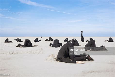 Hiding Head In Sand High Res Stock Photo Getty Images