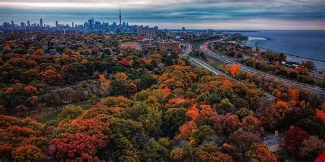 Torontos Fantastic Fall Foliage In Photos High Park
