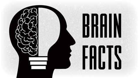 45 Facts About Your Brain That Your Brain Didnt Know Youtube