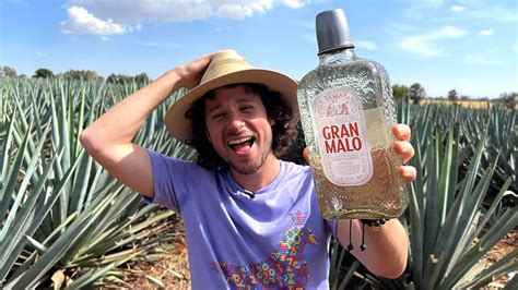 Gran Malo Tequila Sabor A Tamarindo ¿cómo Se Hace Y Por Qué Es Tan