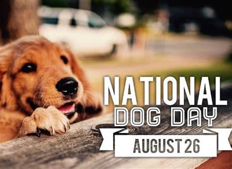 Review Of Is It National Dog Day Ideas Weavemed