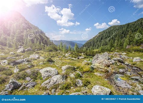 Alpine Landscape Stony Meadow Forest Mountains And Blue Sky Stock