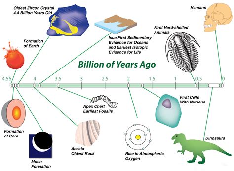 Biology The Study Of Life Ck 12 Foundation