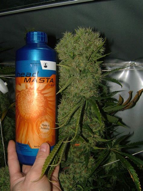 Check spelling or type a new query. CX Hydroponics... Hot mix technology, and fusion nutrition ...
