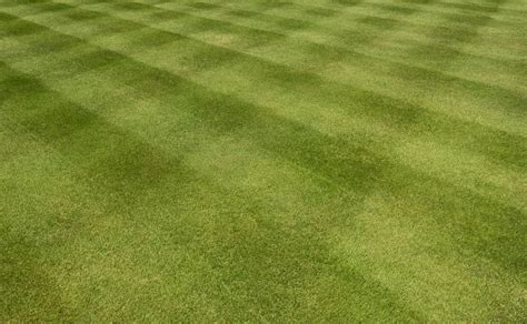 Lawn Mowing Patterns That Will Enhance Your Garden Appeal