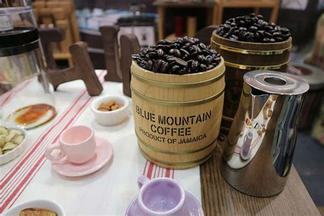 With its volcanic soils, regular rainfall and misty conditions plus high altitudes, blue mountain coffee produces a uniquely tasting coffee which why it is well within the best coffee beans. Jamaica Blue Mountain Coffee: Why So Expensive? - Craft ...