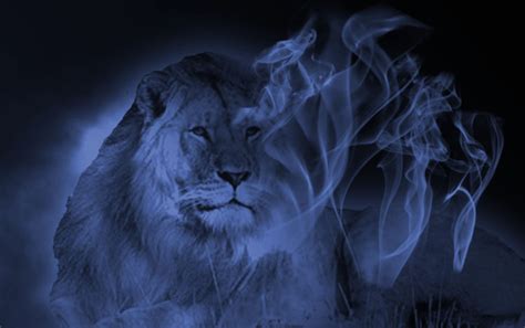 Spiritual Lion By Anubises23 On Deviantart