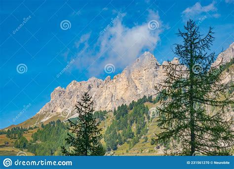 View Over Magical Dolomite Peaks Ancient Pine And Spruce Forests