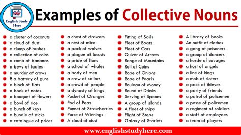 examples  collective nouns english study