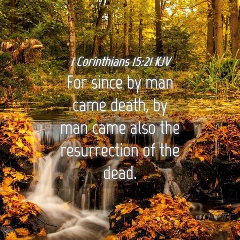 1 Corinthians 1521 Kjv For Since By Man Came Death By Man Came Also The