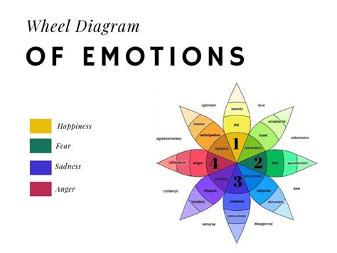 Primary And Secondary Emotions Examples