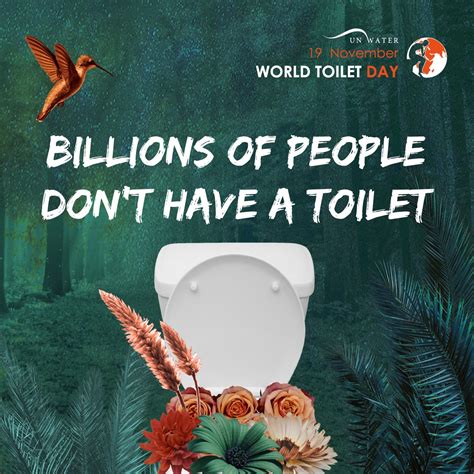 On World Toilet Day Lets Talk Toilets