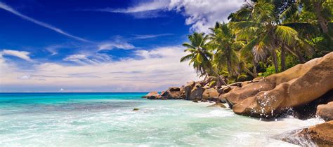 Tropical Beach Anse Patates With Palm Trees And Granite Boulders On La