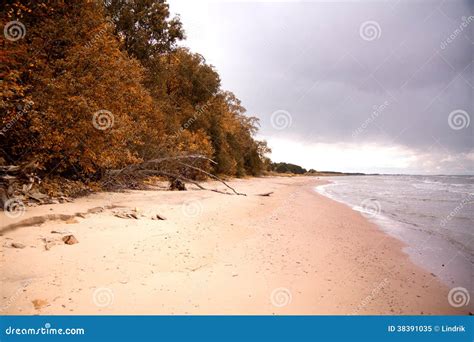 Autumn Beach Stock Image Image Of Beach Horizon Region 38391035