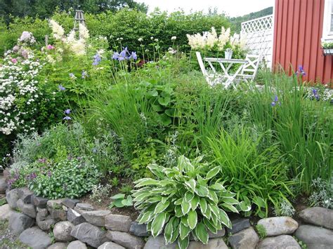 Scandinavian Garden Plants Garden