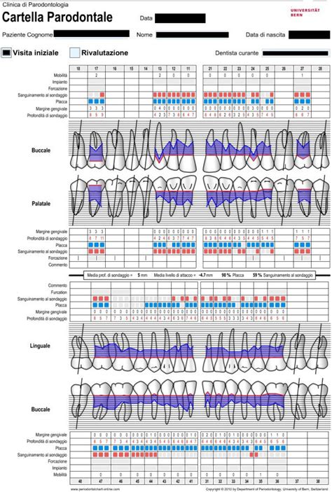 Perio Chart Printable Full Sheet