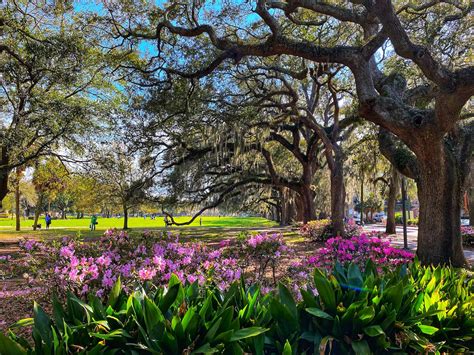 3 Of The Best Reasons To Visit Savannah Ga In Spring Girl Book The