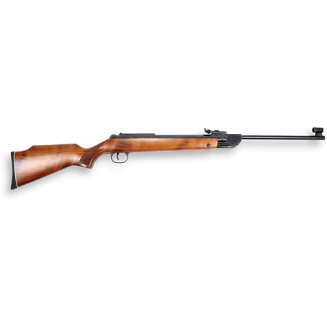 Rws® Model 36 Carbine 121628 Air And Bb Rifles At Sportsmans Guide