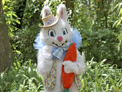 Easter Bunny Porn Searches Expected To Hop Ahead 8000 On Sunday New