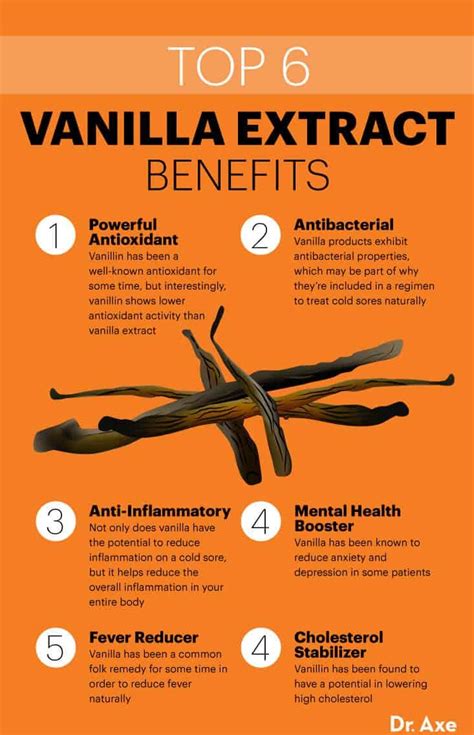 Vanilla Extracts Mind Boosting Anti Inflammatory Benefits Dr Farrah Md