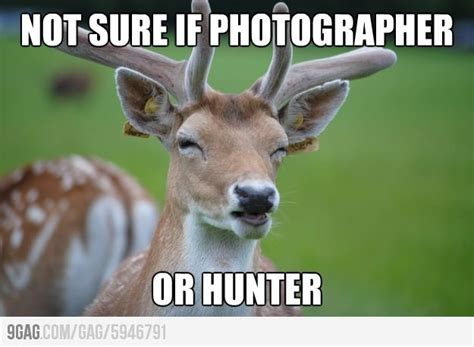 Fry As A Deer Funny Pictures With Captions Funny Memes Af Memes