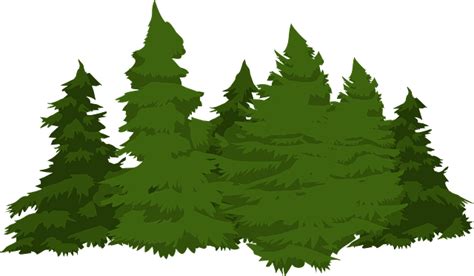 Download Pines Trees Forest Royalty Free Vector Graphic Pixabay