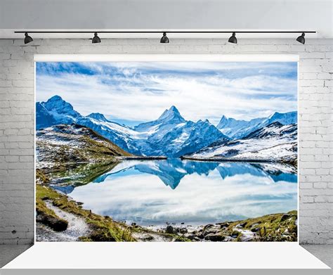 Greendecor Polyester 7x5ft Swiss Alps Backdrop Scenic Photography
