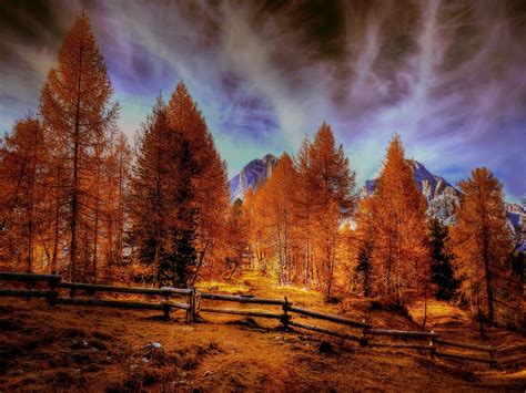 Alpine Mountains Autumn Forest Trees Hd Nature 4k Wallpapers Images