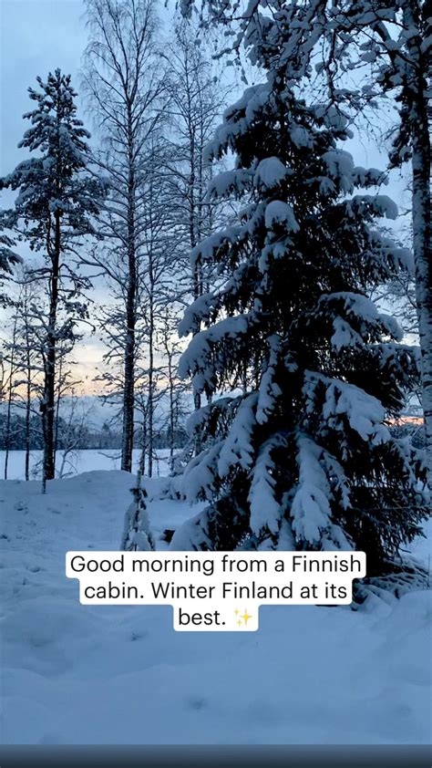 Good Morning From A Finnish Cabin Winter Finland At Its Best Pinterest